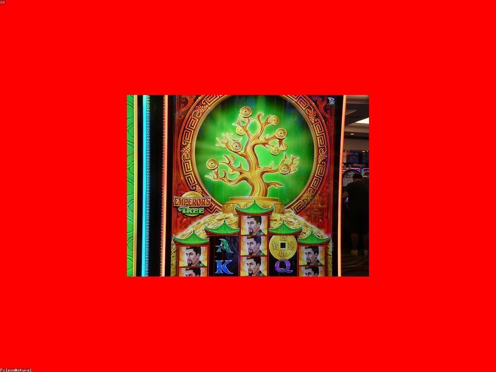 សំណួរ និង ចម្លើយ ស្លុត