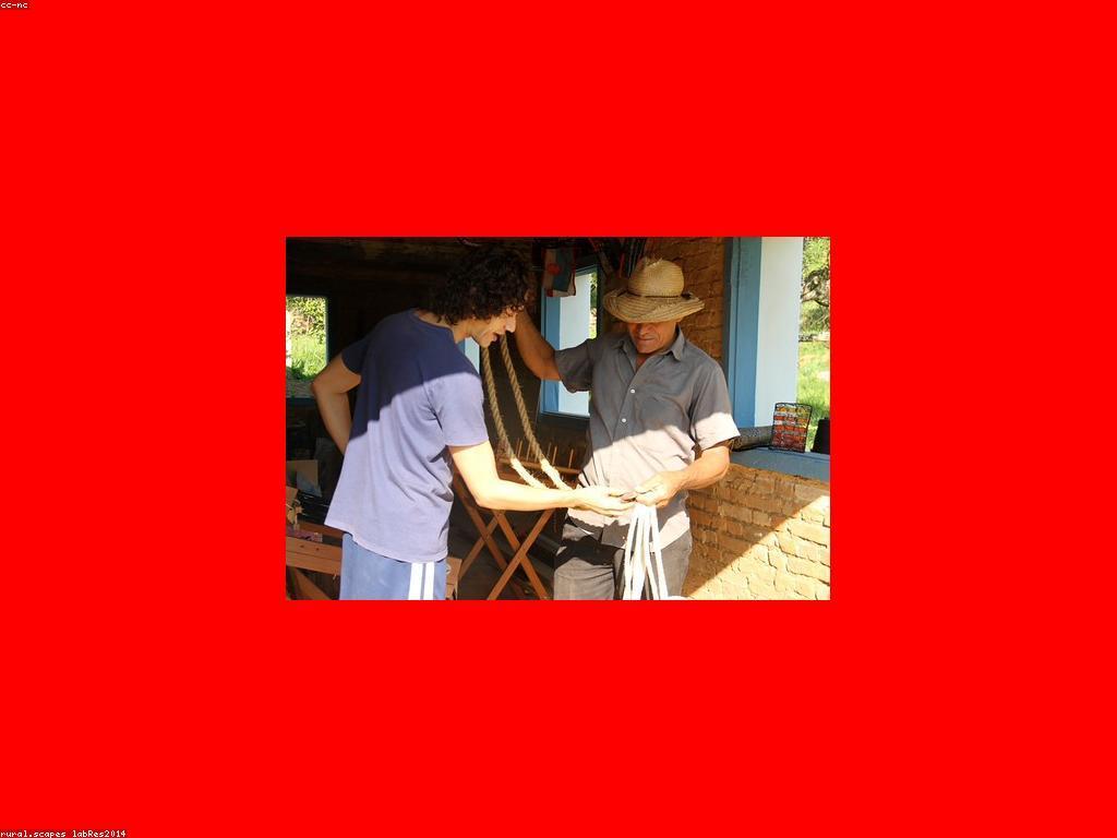 អត្ថប្រយោជន៍នៃបទពិសោធន៍ VIP ក្នុងការអប់រំ